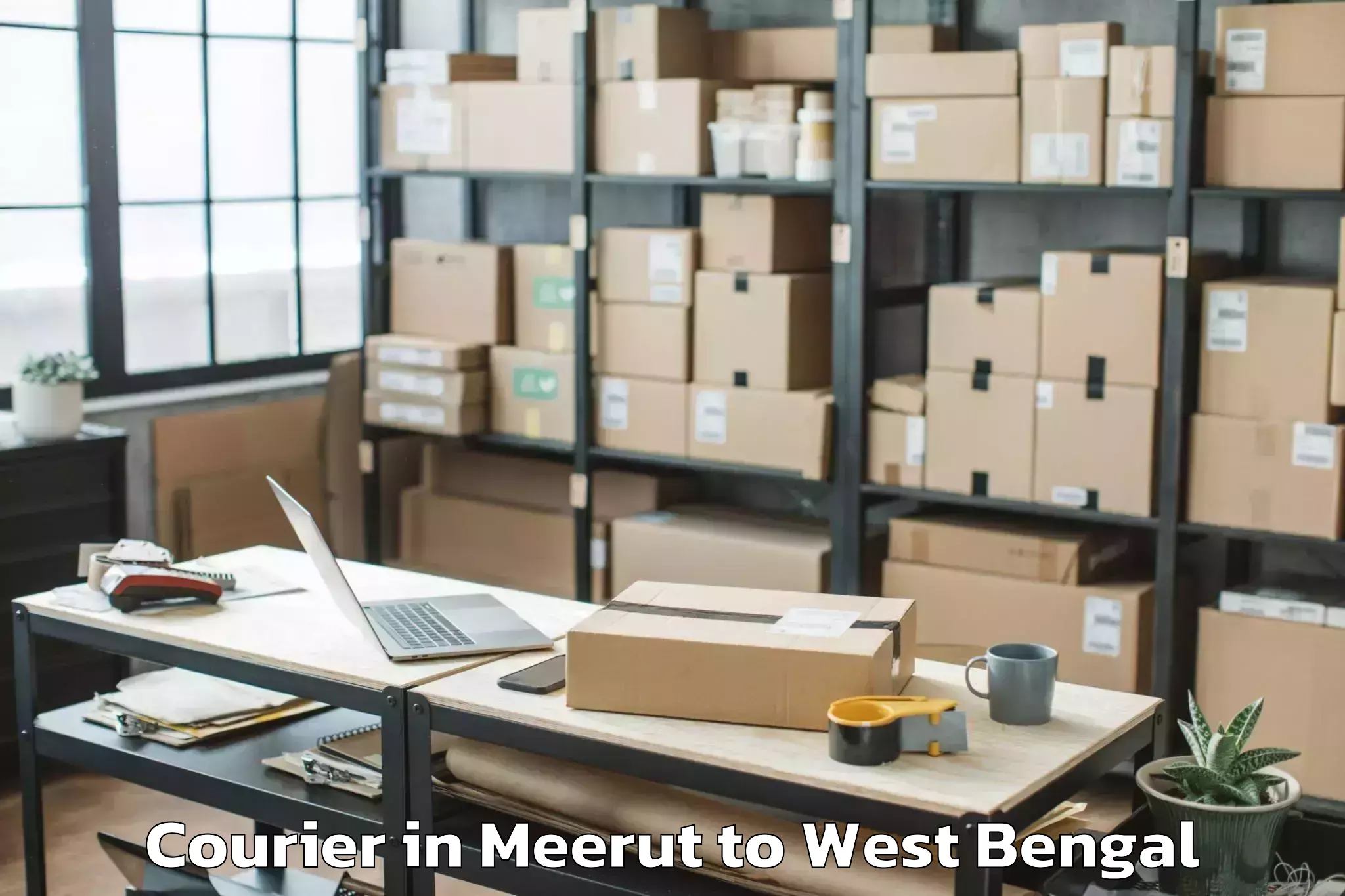 Affordable Meerut to Panihati Courier